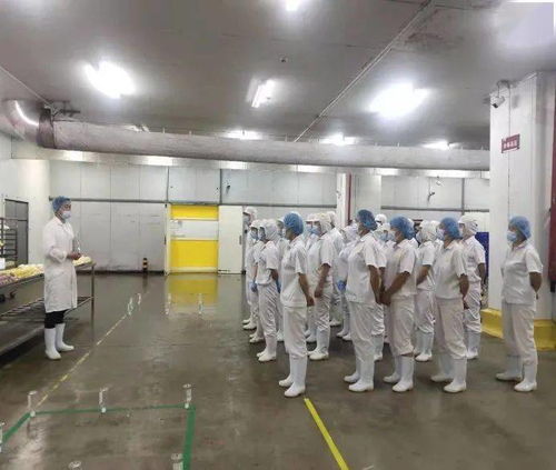 勞動競賽進行時，技能比武展風采，提質(zhì)增效創(chuàng)佳績——中百生鮮公司中式面點加工廠職業(yè)技能大賽小記